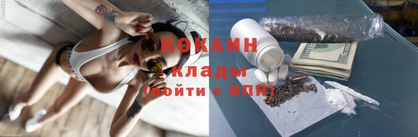 стаф Касимов
