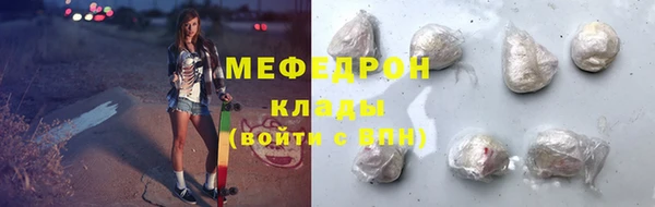 стаф Касимов