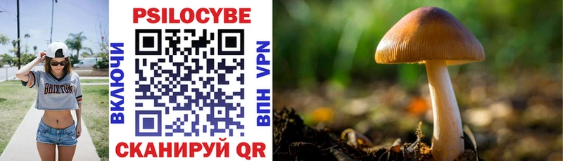 Купить закладки  Дальнереченск  Псилоцибиновые грибы Cubensis 